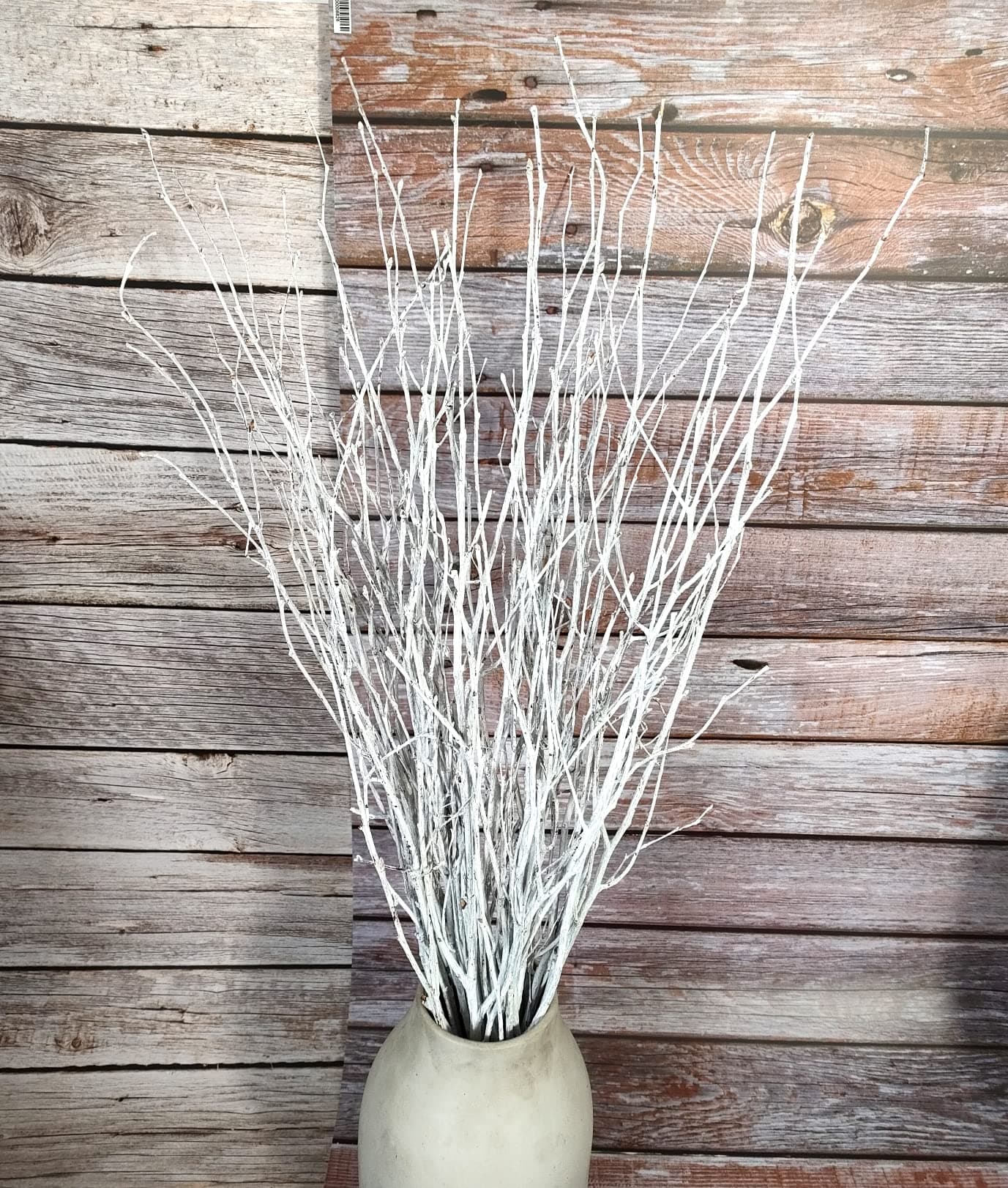 Decorative Birch Branches Decoration