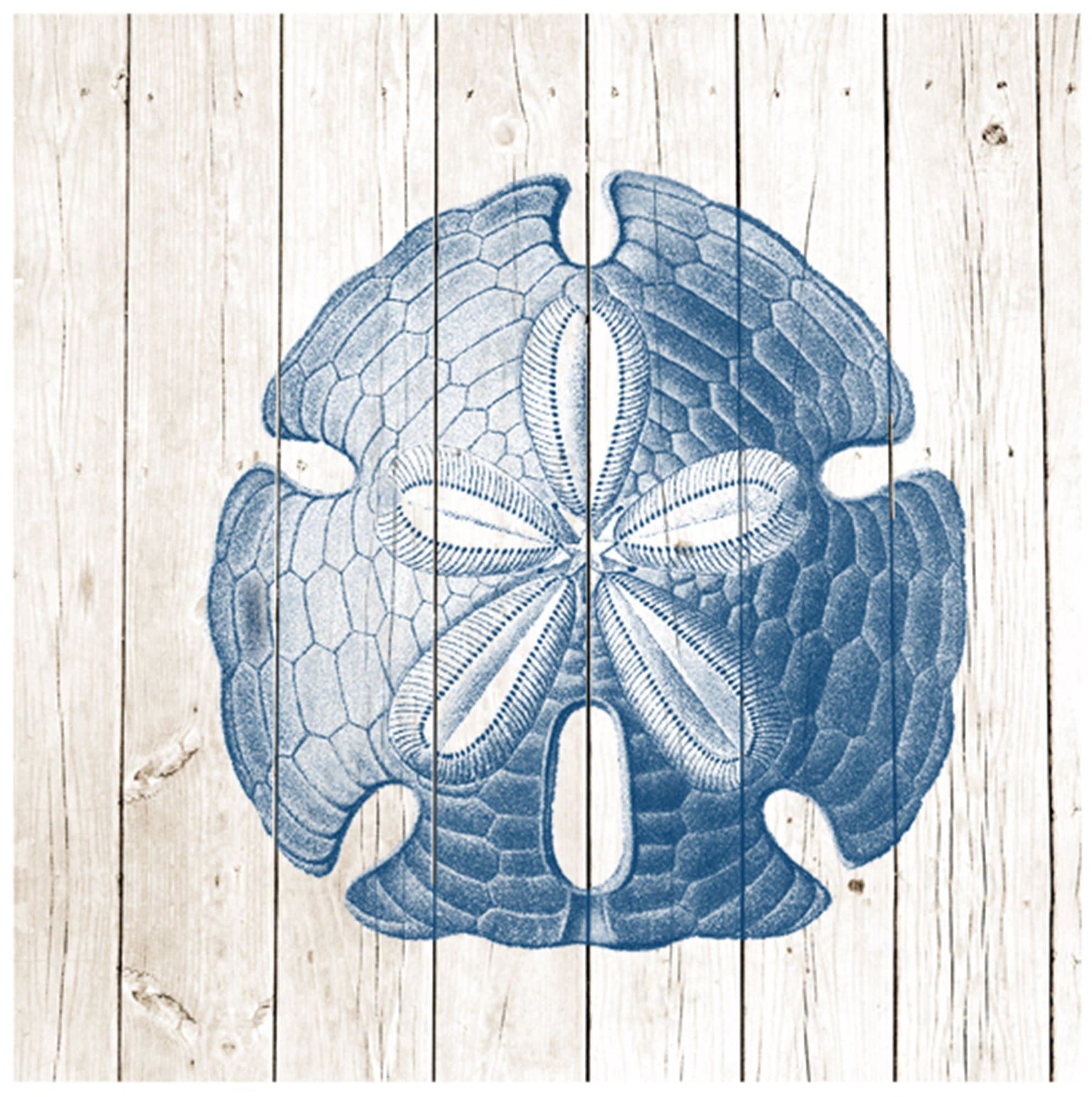 Epic Art Sand Dollar on Planks Print