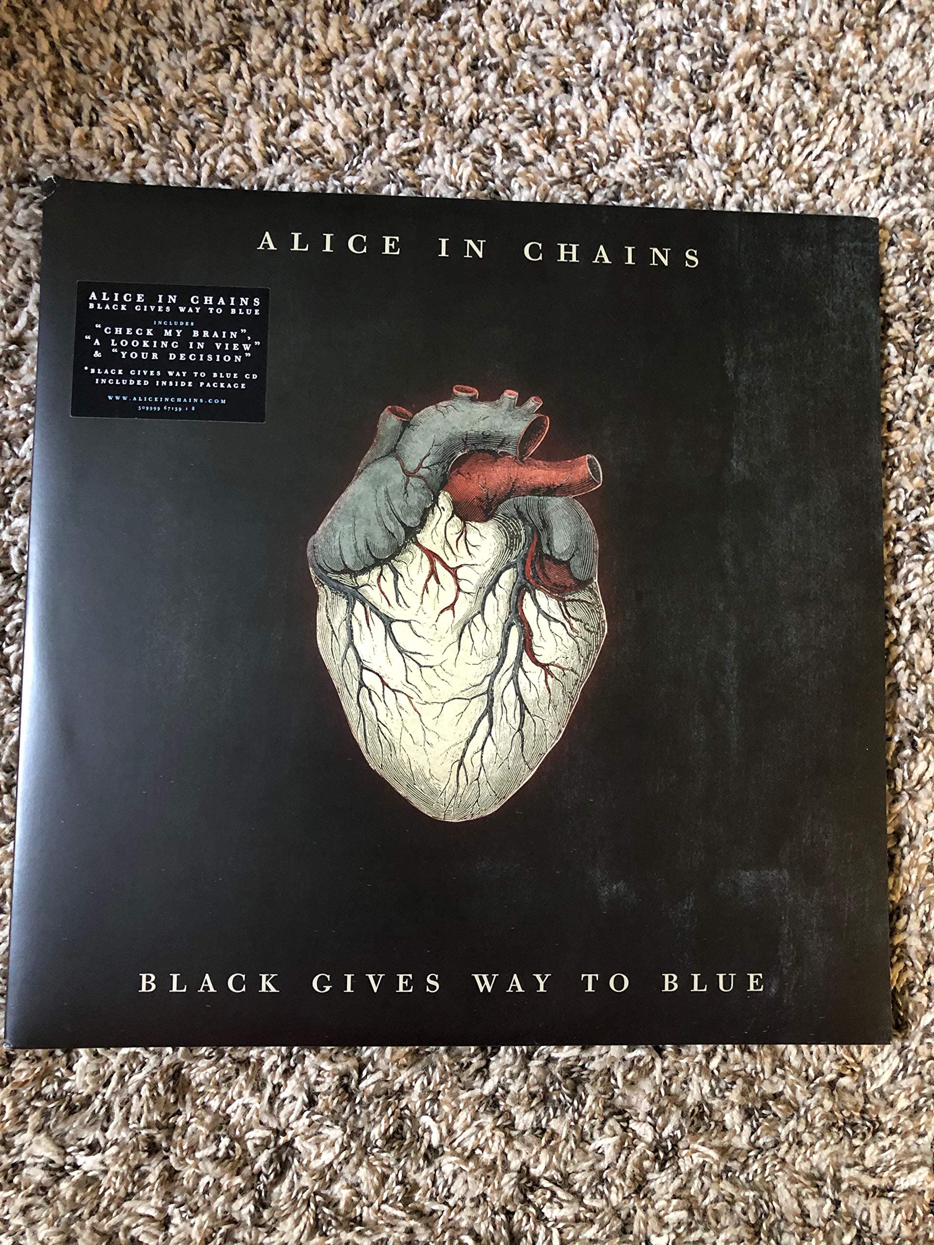 Black Gives Way to Blue