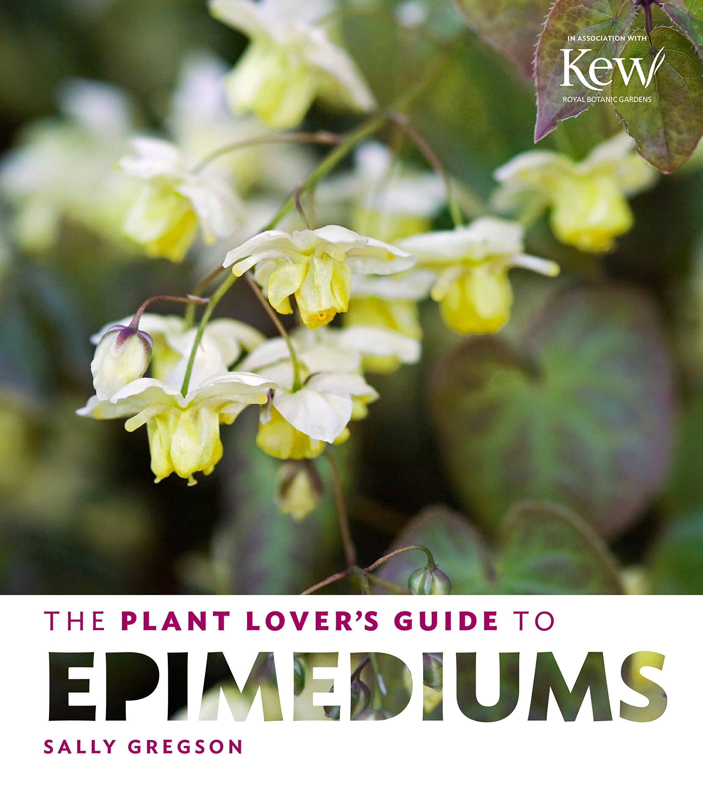 Plant Lover's Guide to Epimediums