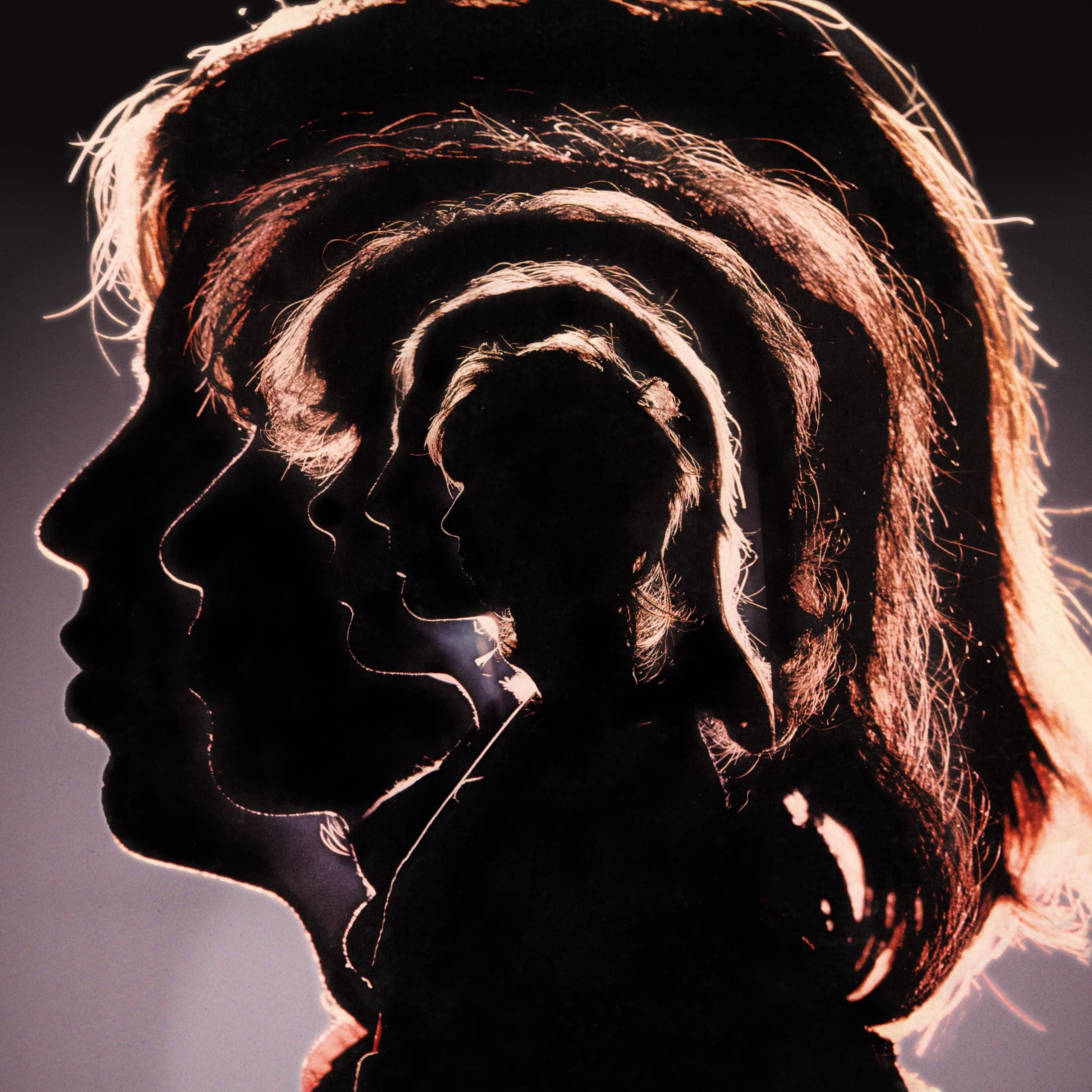 Hot Rocks 1964-1971[2 LP]