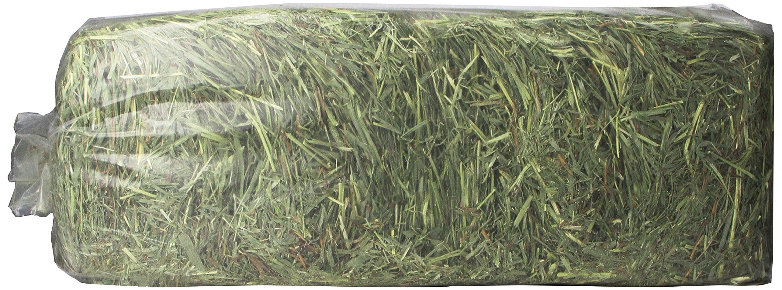 Timothy Gold Hay, 5Lb, Blue
