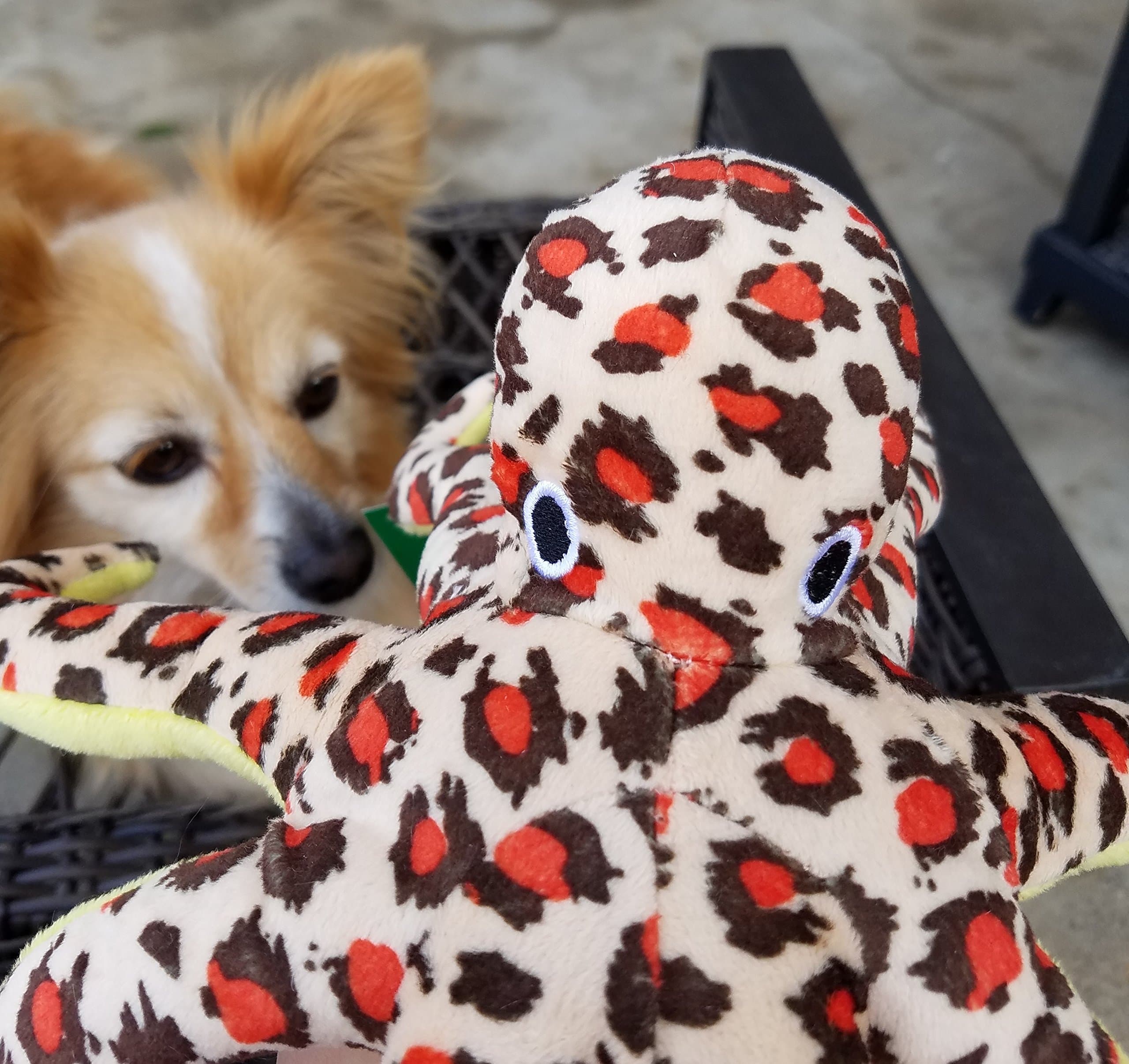 Octopus Plush Pet Toy with Squeaker