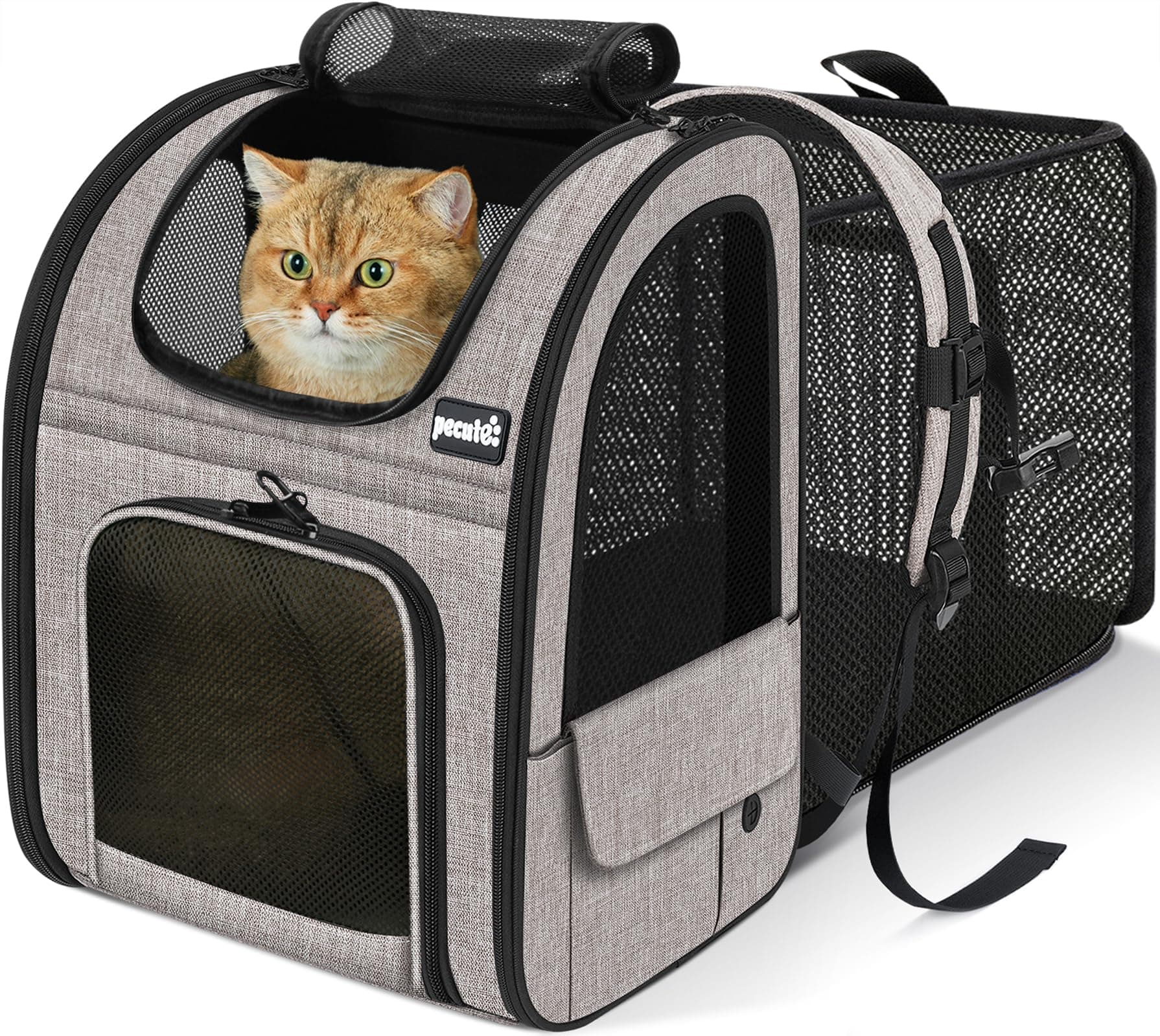 - Pecute Cat Backpack Carrier Expandable, Pet Backpack for Cats & Small Dogs Up to 11lbs, with 4-Side Breathable Mesh, Multi-Entry & Lockable Zippers for Travel, Hiking, Camping - Hands Free, Khaki
