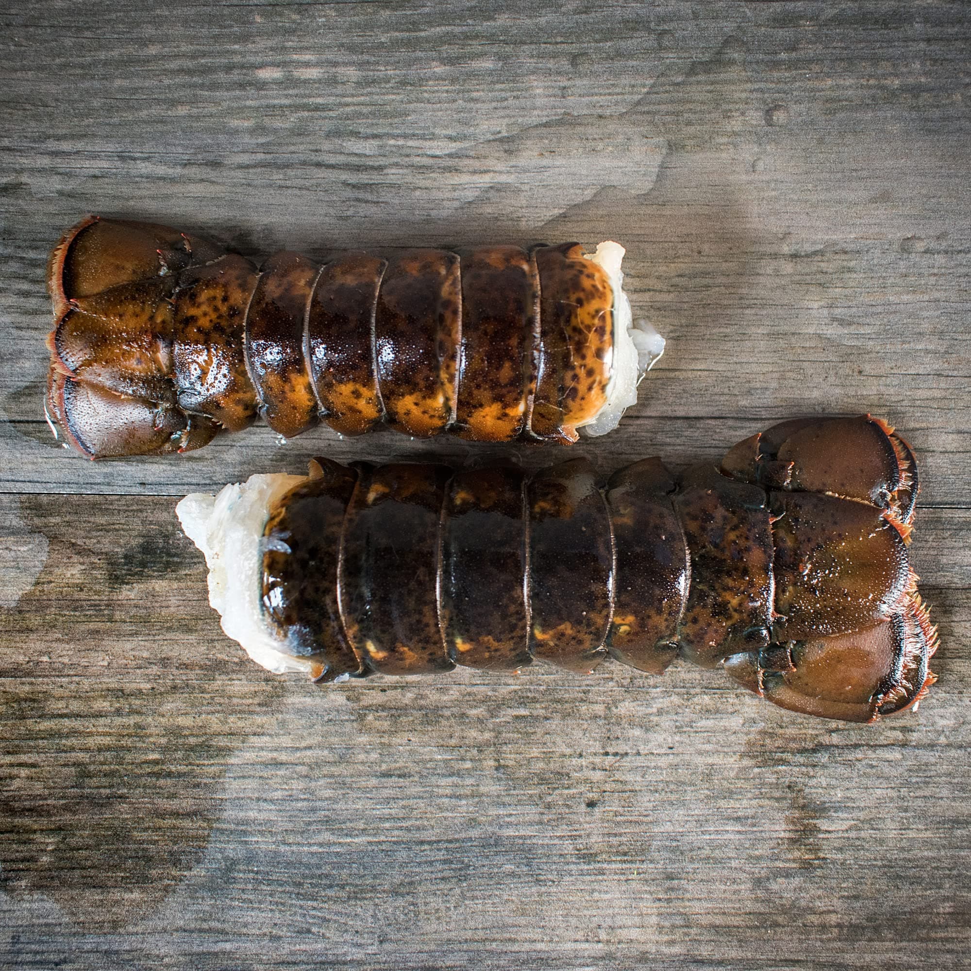 4 oz Maine Lobster Tails (12 Tails)