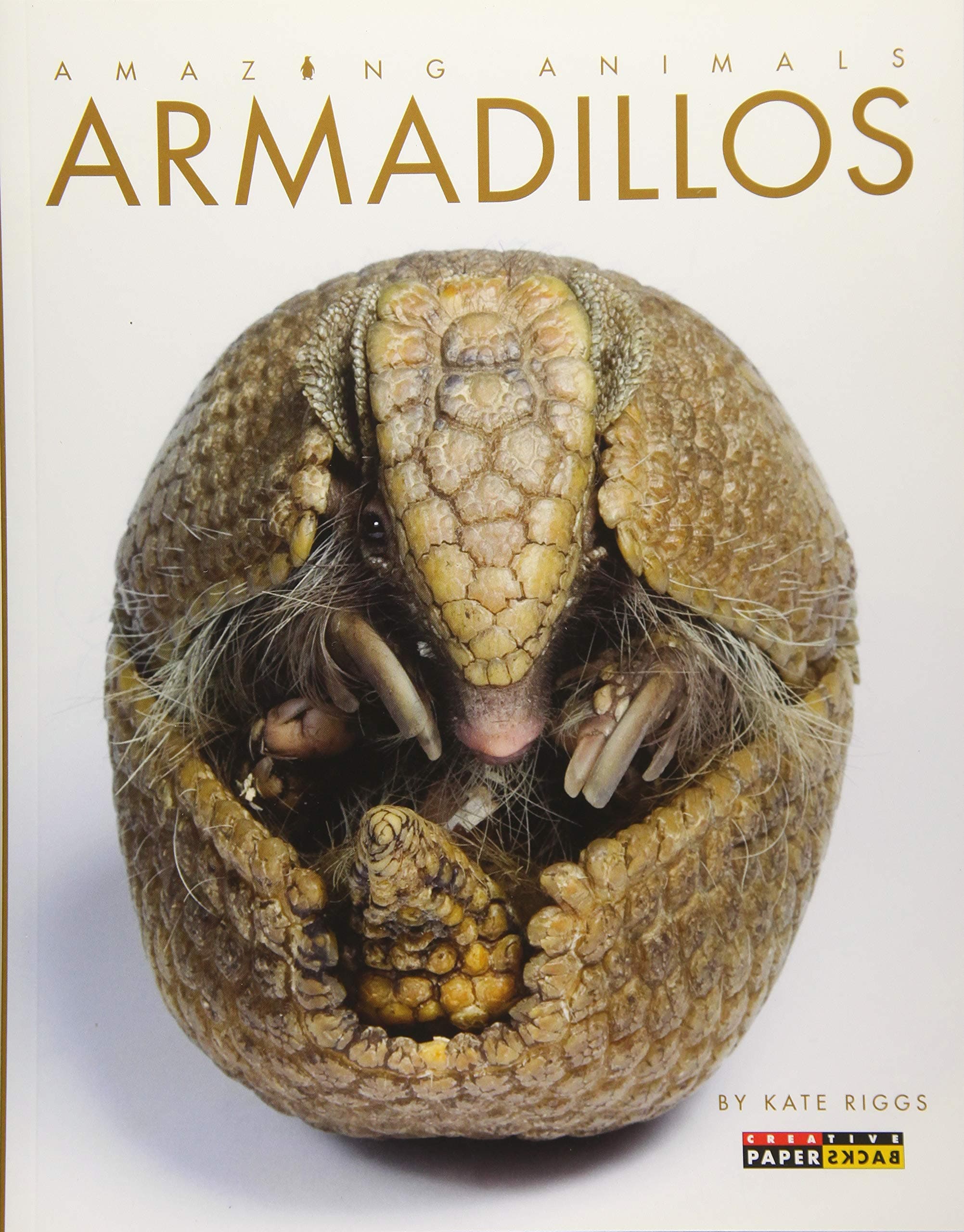 Armadillos (Amazing Animals)