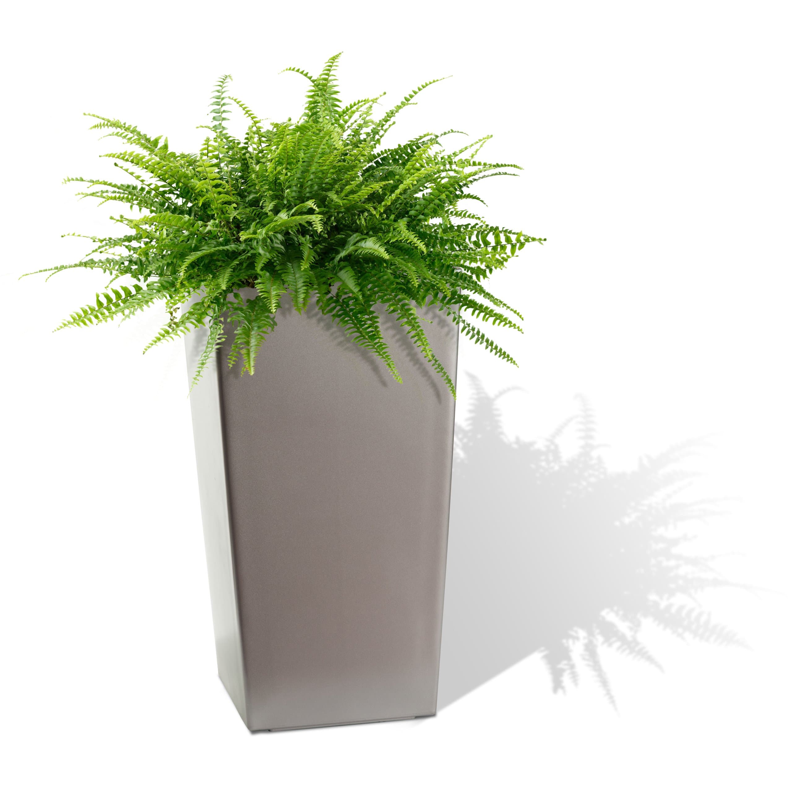 Algreen11205 Self Watering Square Modena Planter, 30-Inch, Matte Granite