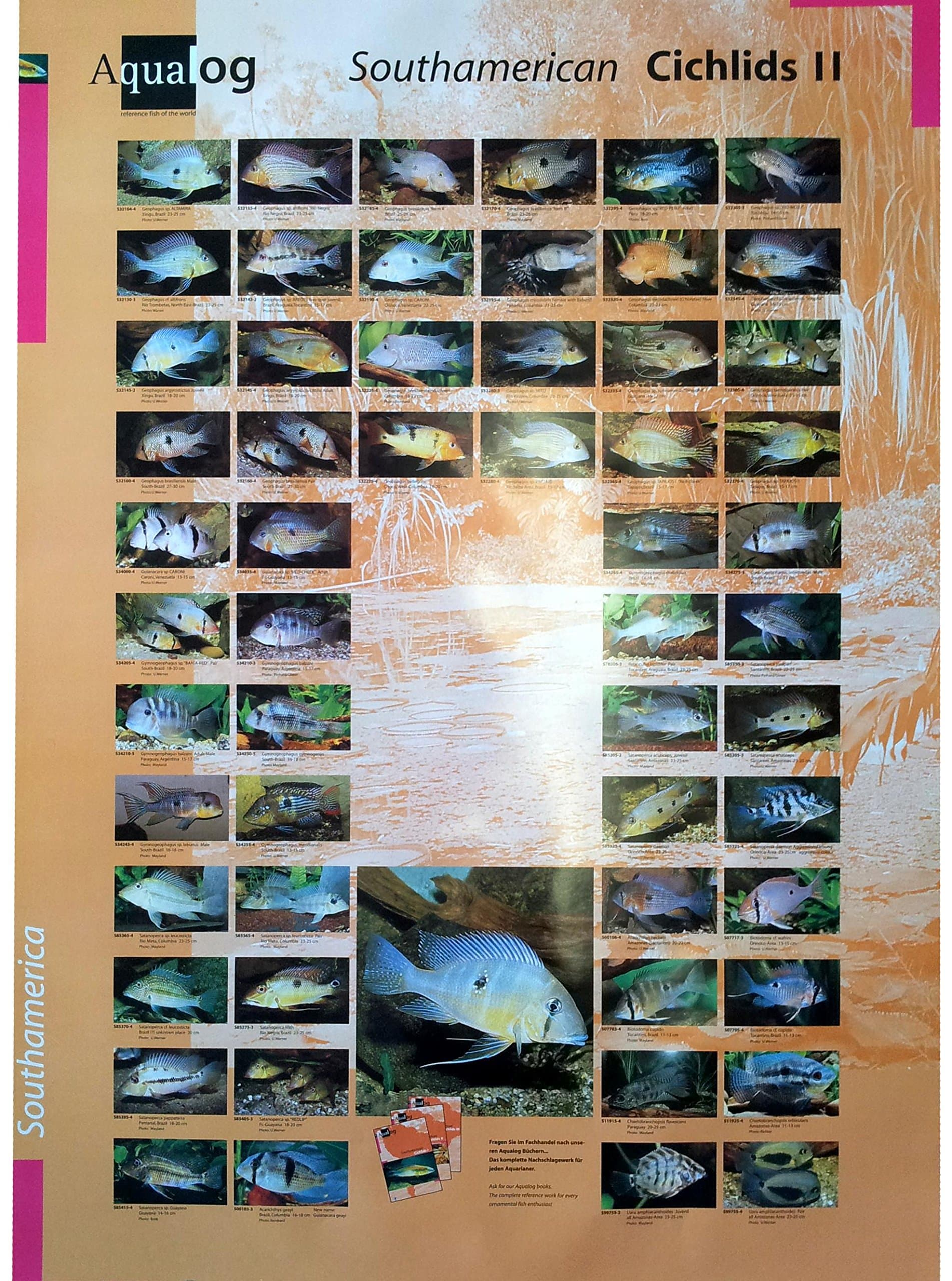 Poster Cichlids 2 (Geophagus/Eartheaters)