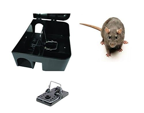 1 X Rat Break back Snap Trap & 1 Rat bait protector Box - No Poison Solution