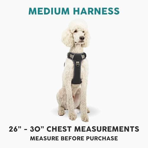 Embark Active Dog Harness, Easy On and Off with Front and Back Leash Attachment Points & Control Handle - No Pull Training, Size Adjustable and No Choke (Medium - Black)