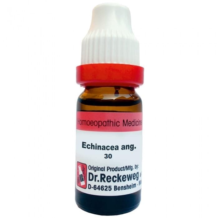 ECHINACEA 30 11ML German Remedy