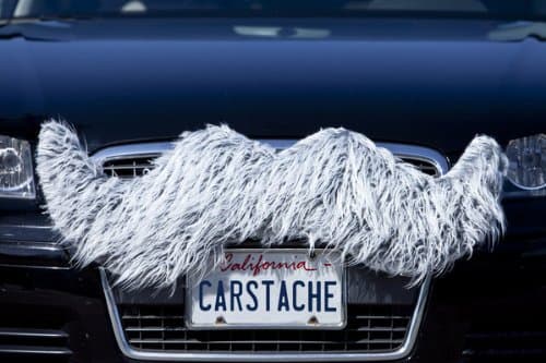 Carstache Wisdom Grey Car Mustache