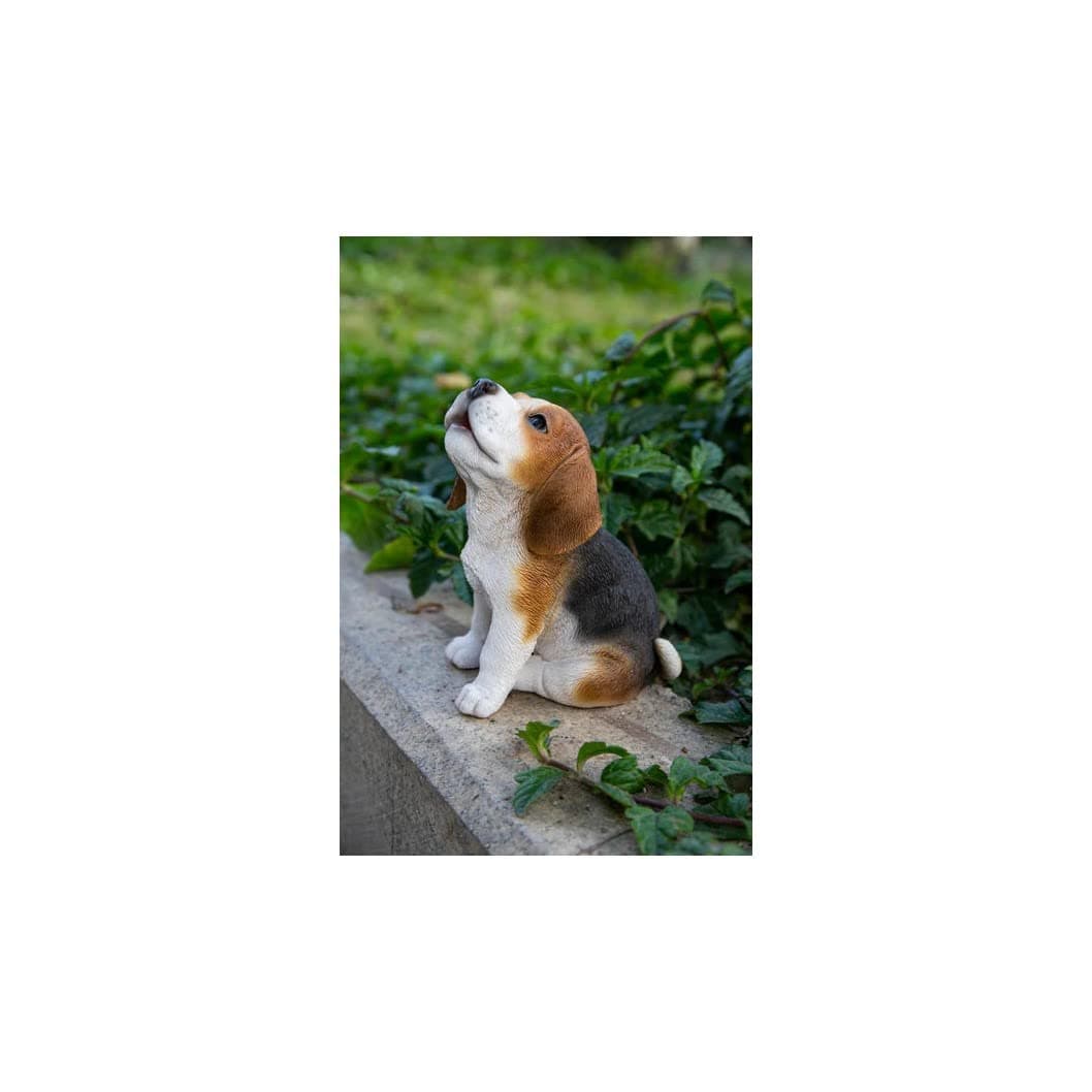 Hi Line Beagle Puppy Howling