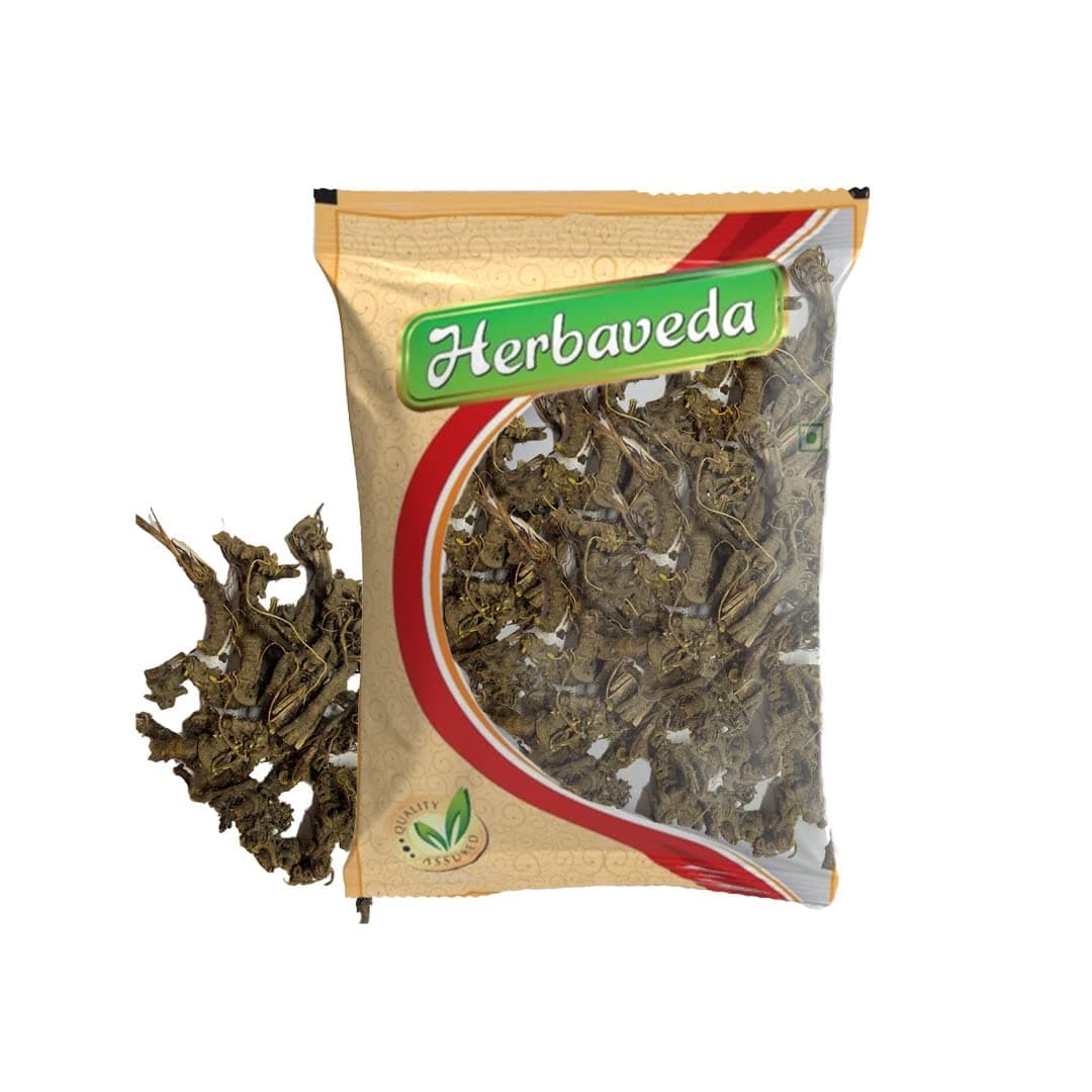 Herbaveda- Osha root 200g | Promotes digestion