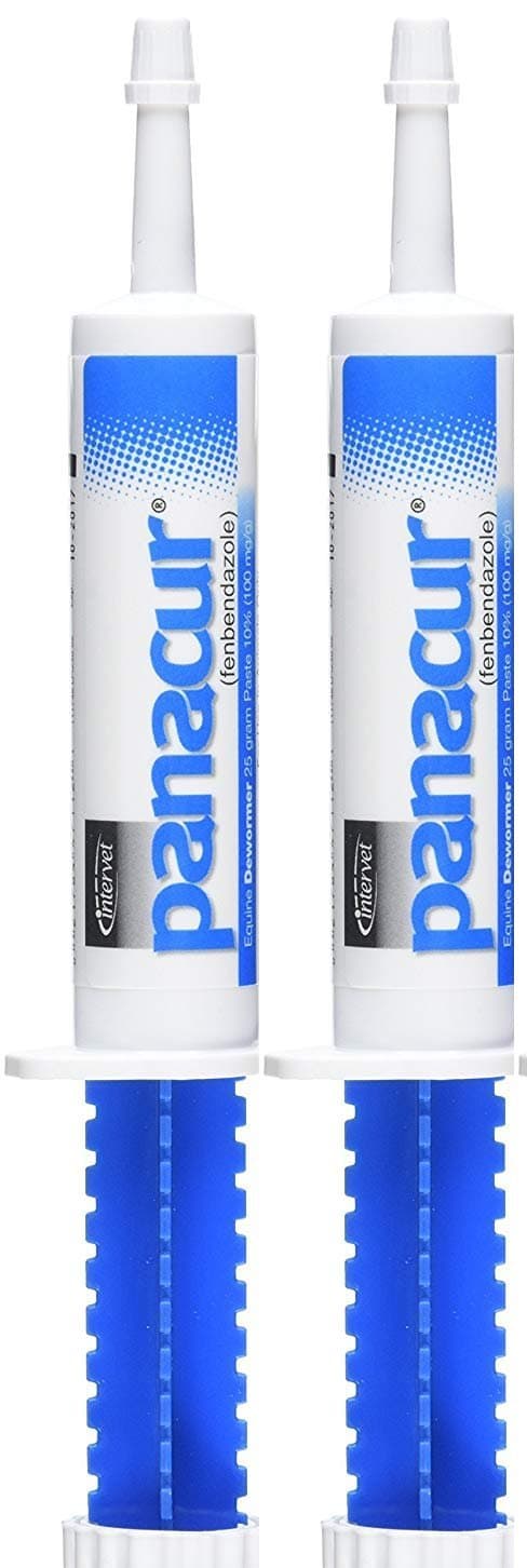 PANACUR Dewormer Horse Paste 10%, 100mg (2-Pack)