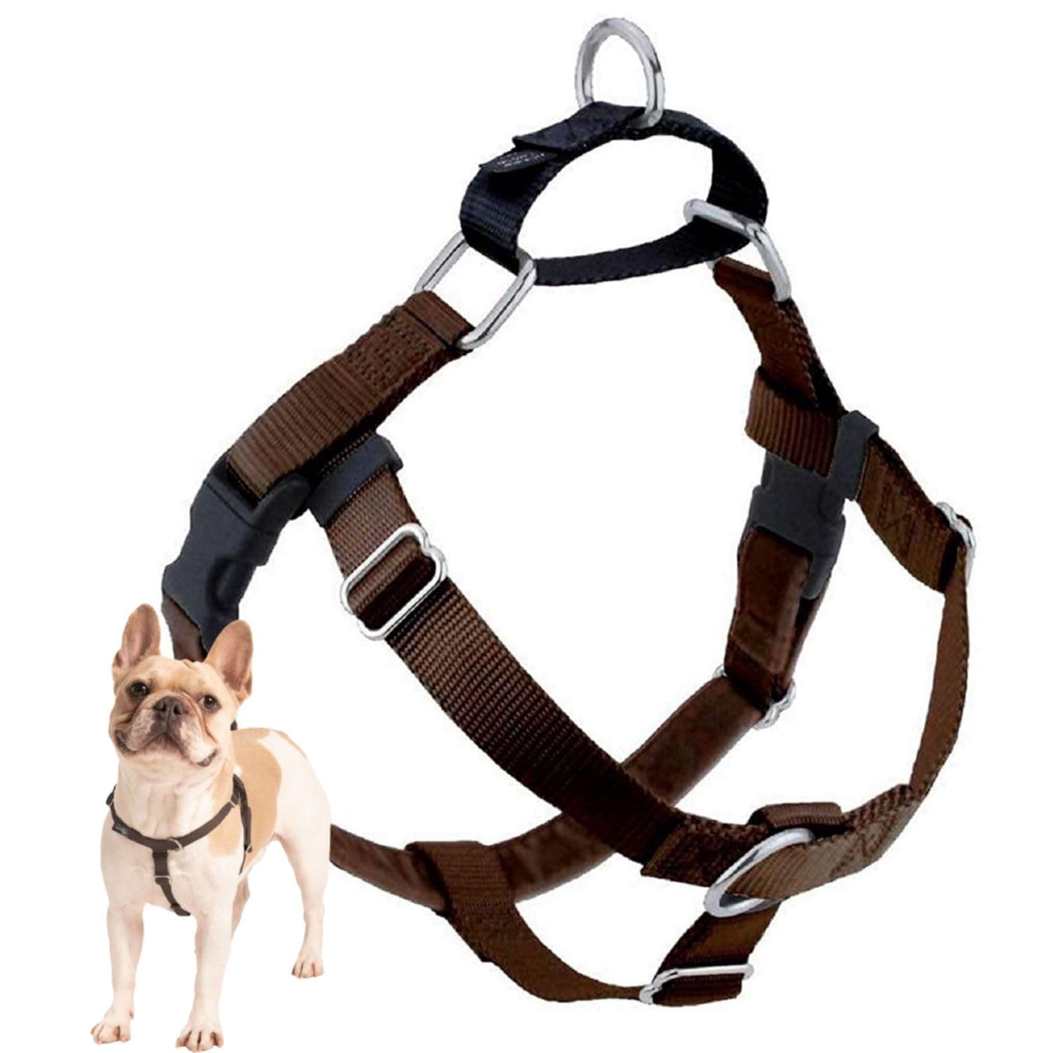 2 Hounds Design Freedom No Pull Dog Harness, Adjustable Harness, Easy Walking & Comfortable Control, Fits Small, Medium & Large Dogs, Solid Colors, Made in USA, 1" LG, Brown