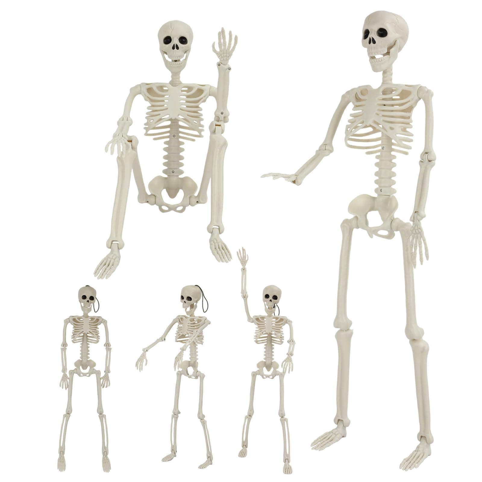 5 Pack Halloween Skeleton Decorations, 2 Pack 36"/90cm Full Body Joints Posable Skeleton with 3 Pack 16"/40cm Small Skeleton, Creepy Halloween Plastic Skeleton Decor for Haunted Houses Props, Garden