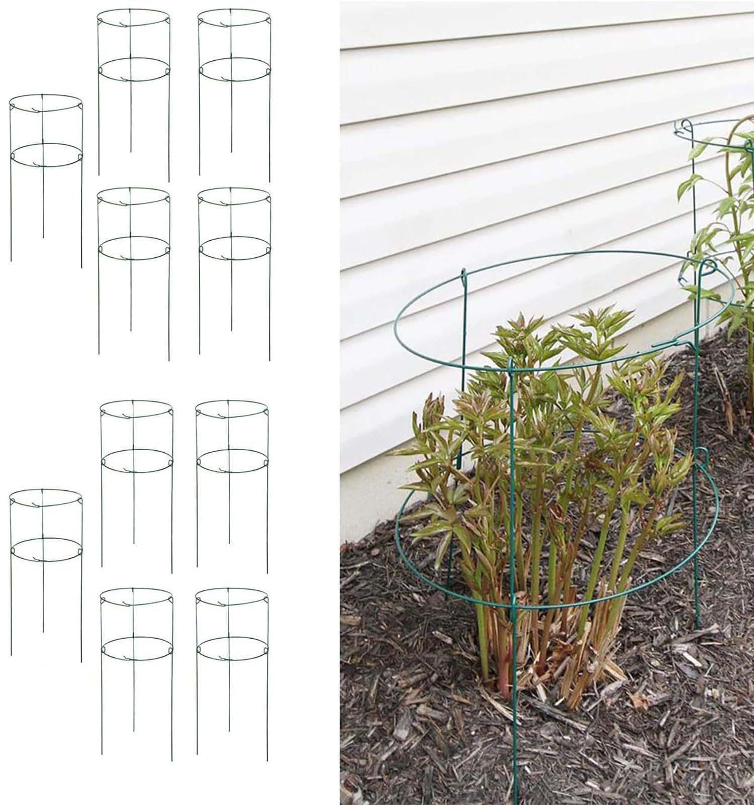 MTB Supply 10 Pack 36" x 18" Peony Double Ring Plant Support,Plant Support Stakes for Tomatoes Peony Lily Rose Plant Support Rings Peony Cages for Outdoor Plants Flowers Vegetables