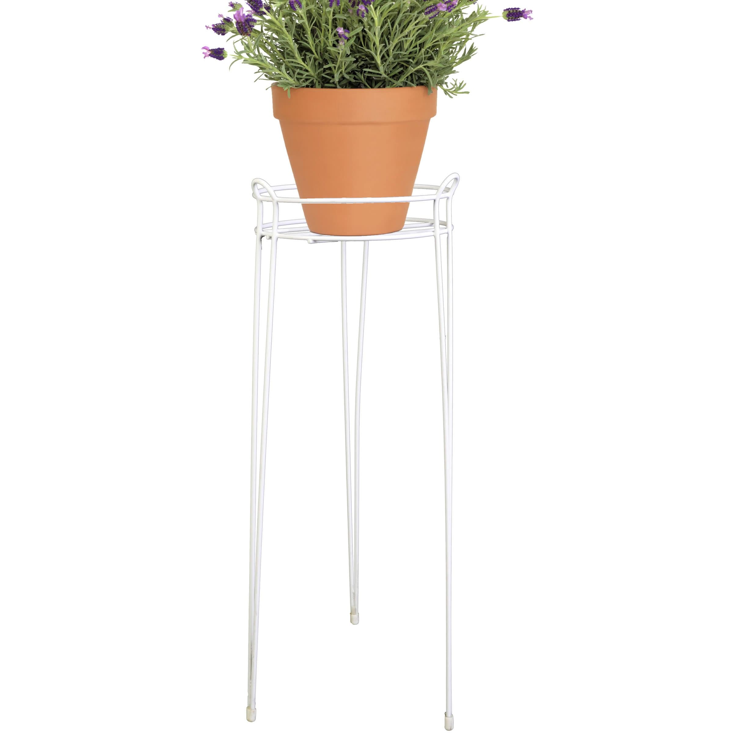 CobraCo 30-Inch White Basic Plant Stand S1030-W