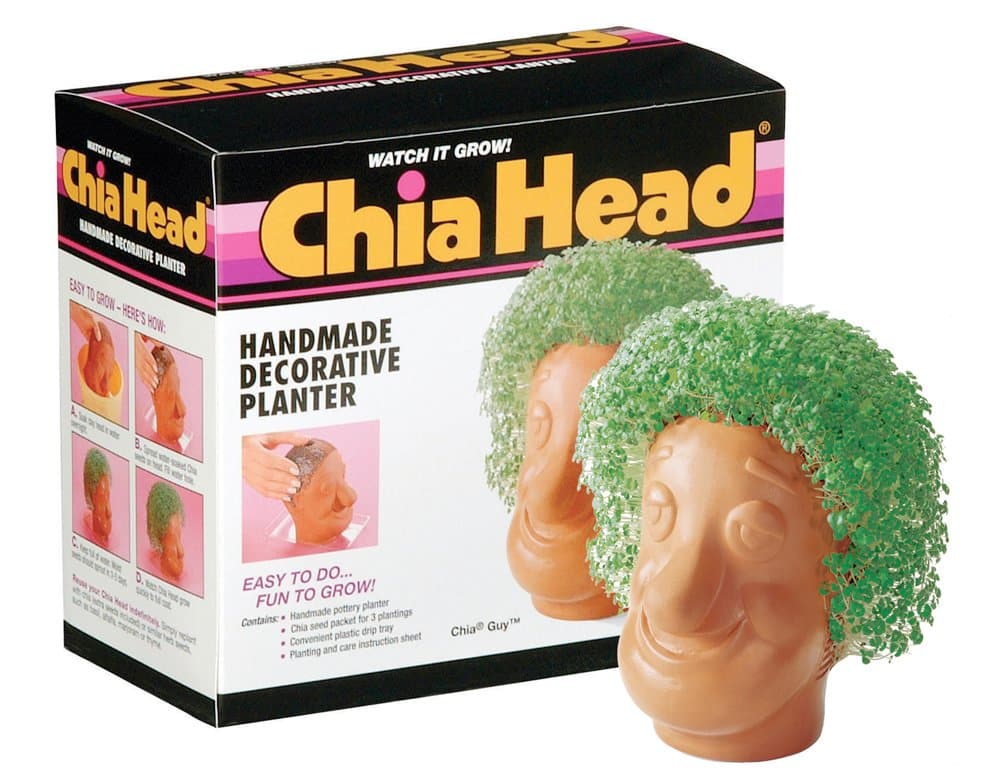 Chia Pet Guy with Seed Pack, Decorative Pottery Planter, Easy to Do and Fun to Grow, Novelty Gift, Perfect for Any Occasion