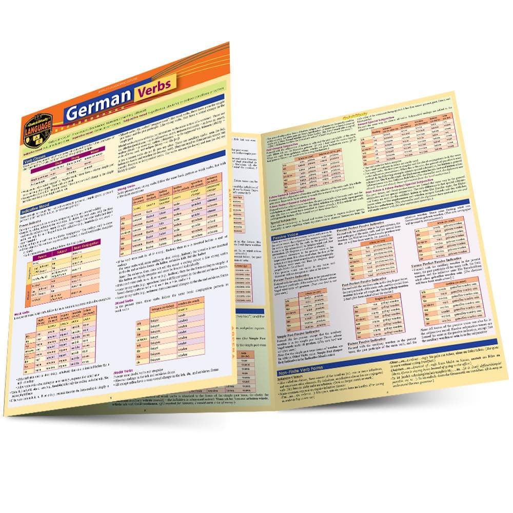 German Verbs (Quickstudy Language)