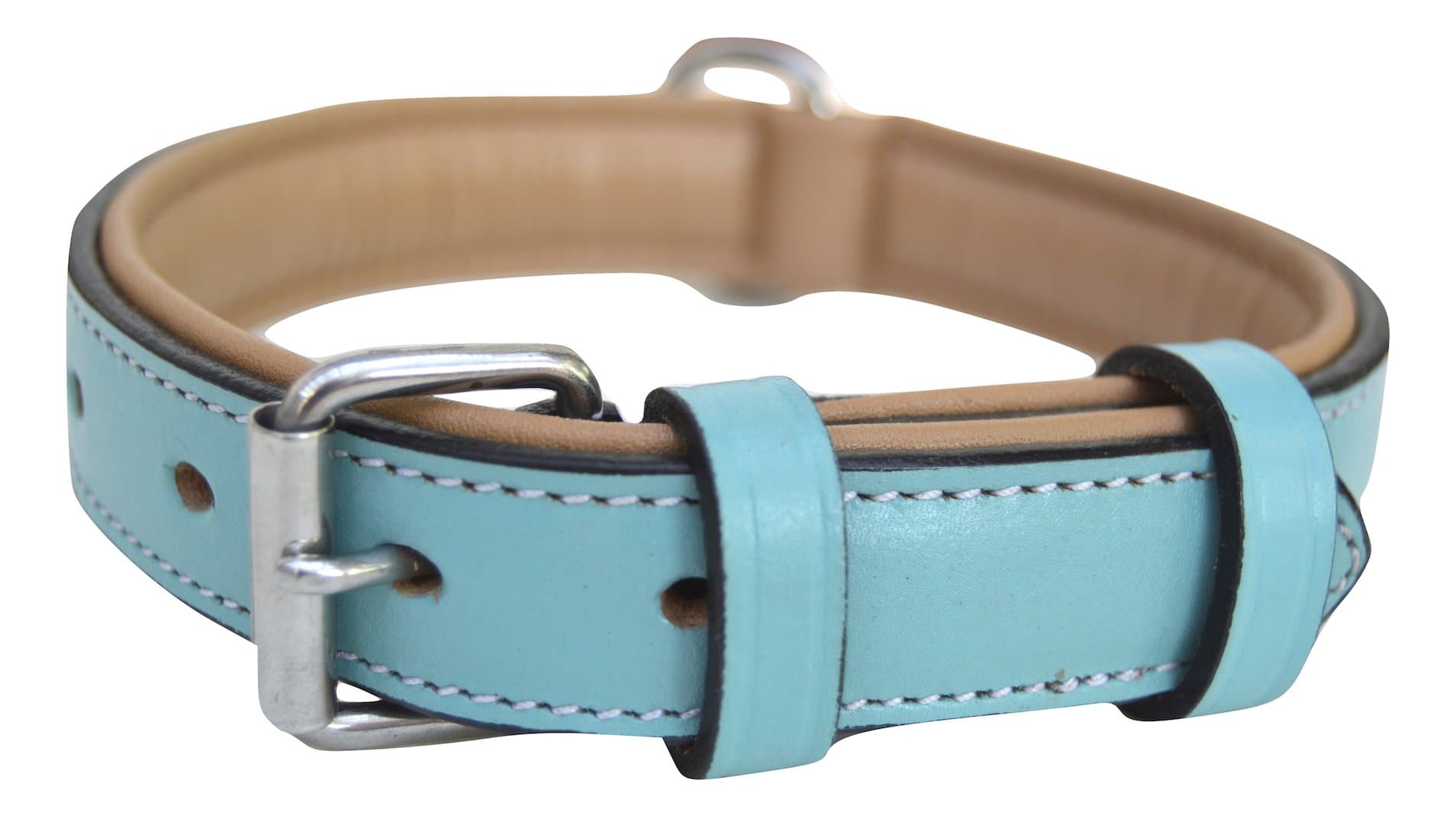Leather Dog Collar, Turquoise with Beige Padding, Size Medium, 20" x 1" Wide, Neck Size 14.5" to 17.5"