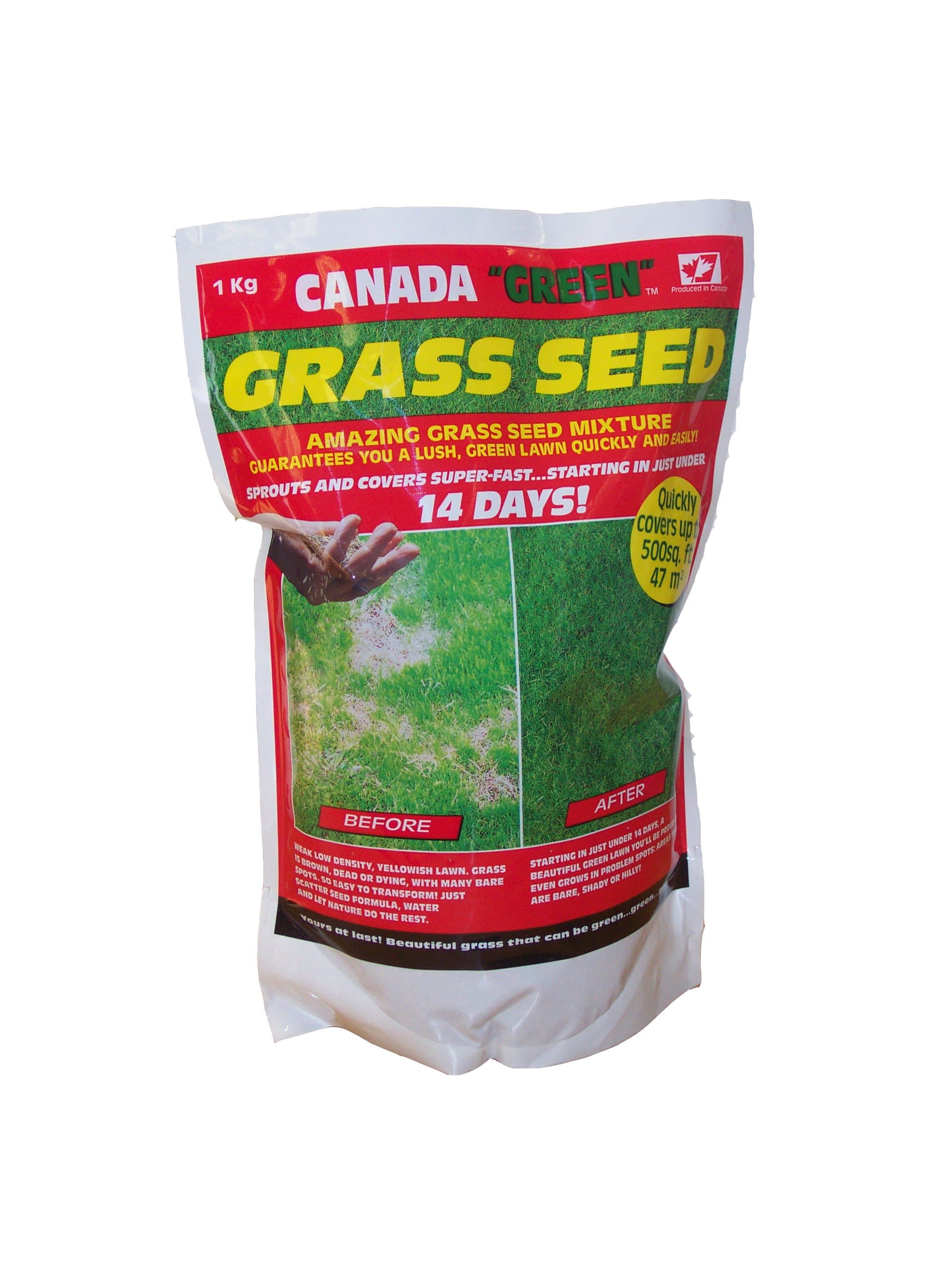 Canada Green 3604 Grass Seed, 1kg
