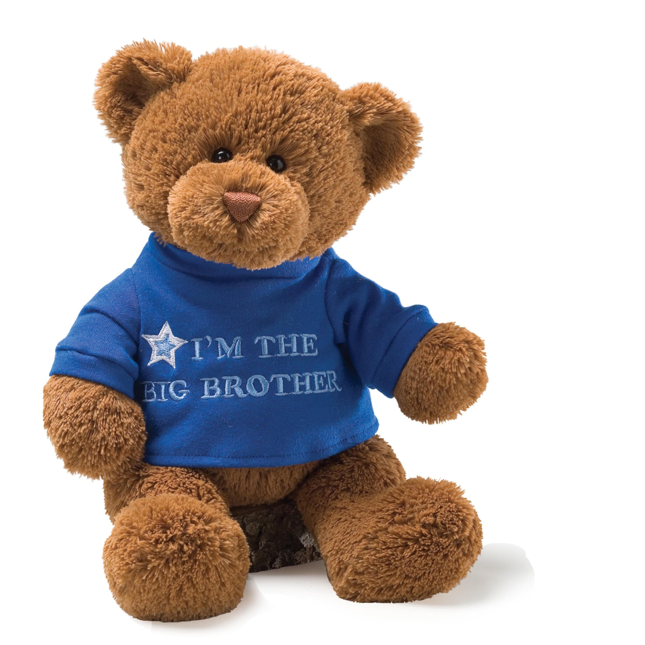 "I'm the Big Brother" Bear