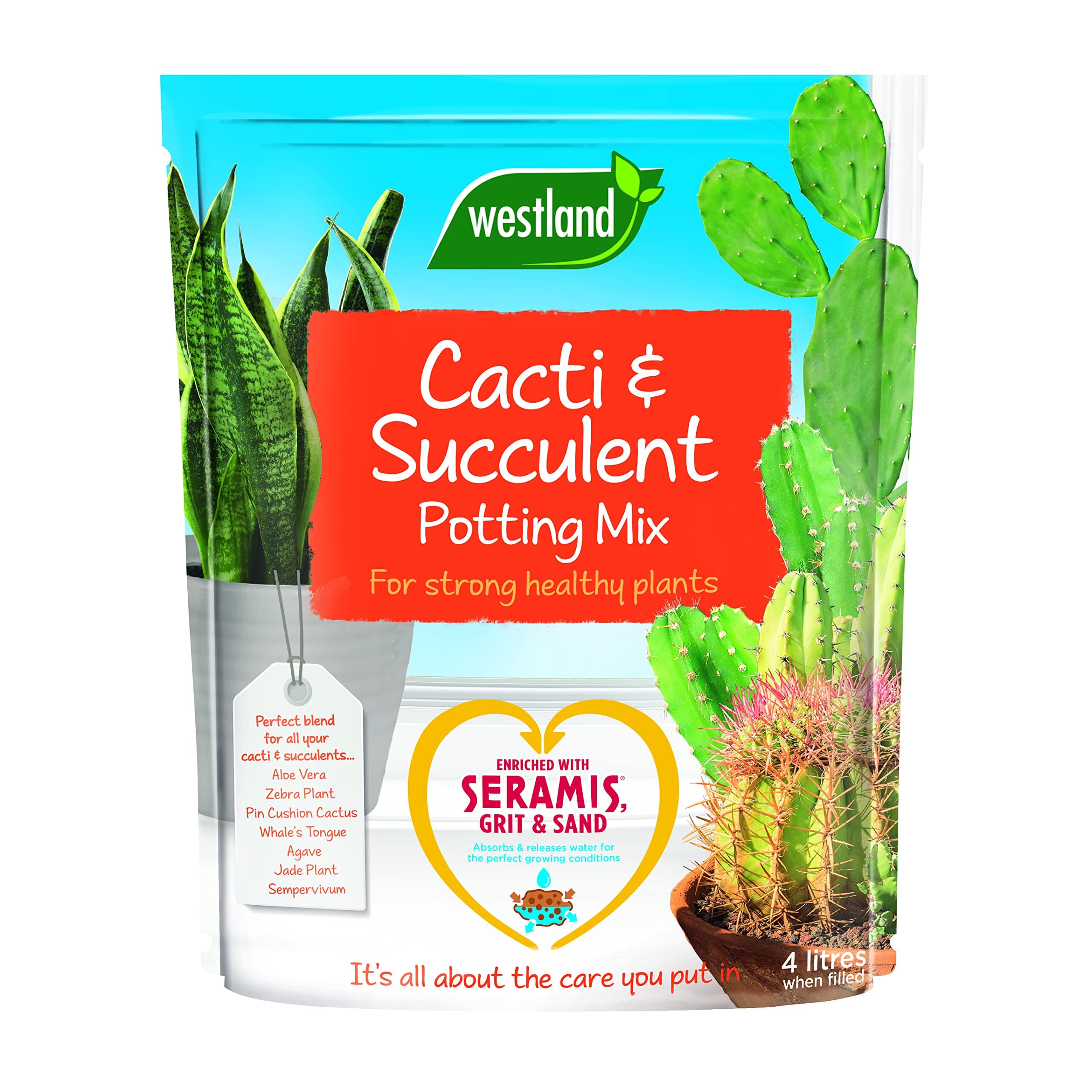 Cacti & Succulent Potting Mix