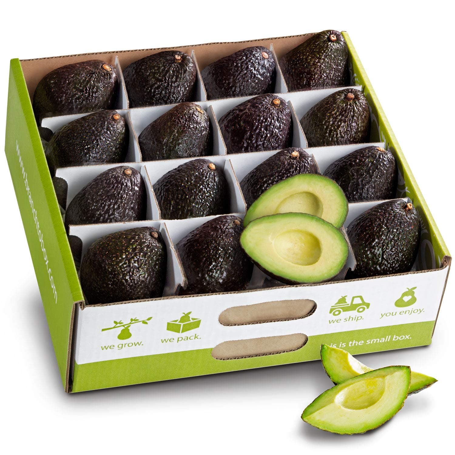 A Gift Inside Branch to Box 16 Count Avocado Box